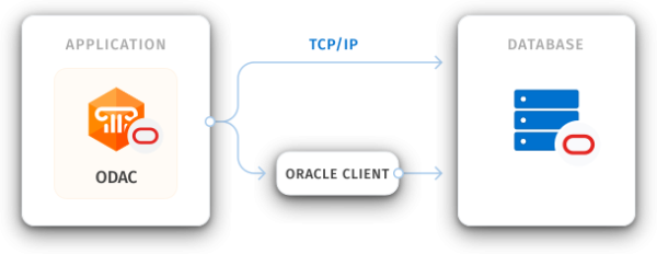 Oracle Data Access Components – R2 Data Technology